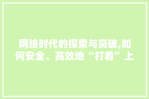 网络时代的探索与突破,如何安全、高效地“打着”上网 网络技术