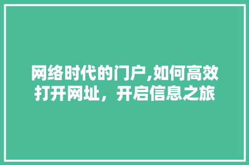 网络时代的门户,如何高效打开网址，开启信息之旅