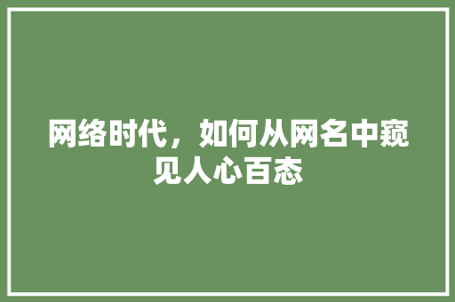 网络时代,如何从网名中窥见人心百态 操作系统 网络时代,如何从网名中窥见人心百态 操作系统