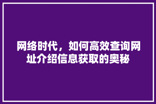 网络时代，如何高效查询网址介绍信息获取的奥秘