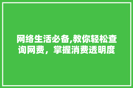 网络生活必备,教你轻松查询网费，掌握消费透明度