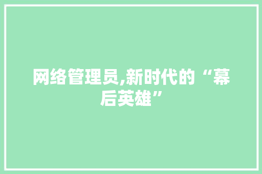网络管理员,新时代的“幕后英雄” 网络管理员,新时代的“幕后英雄”