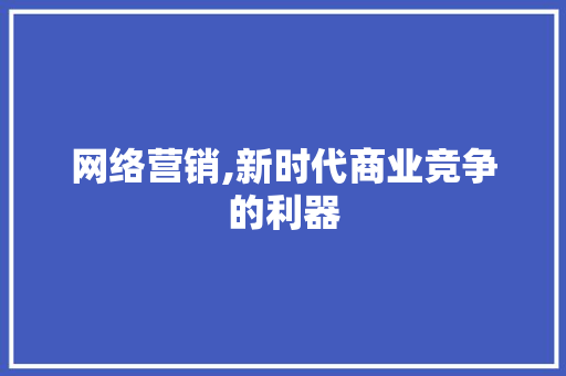 网络营销,新时代商业竞争的利器
