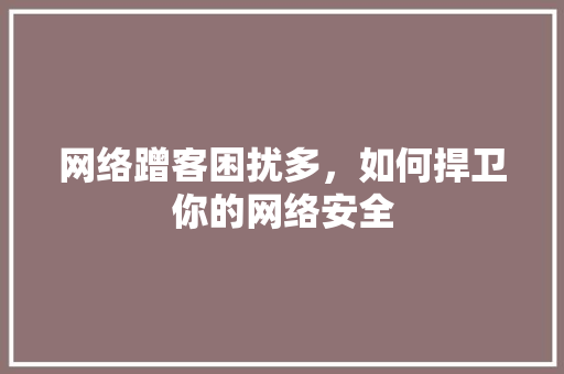网络蹭客困扰多，如何捍卫你的网络安全