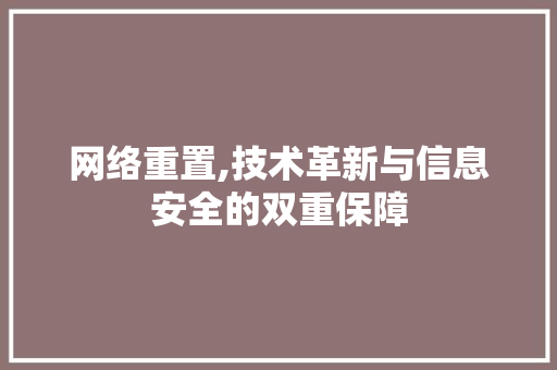 网络重置,技术革新与信息安全的双重保障