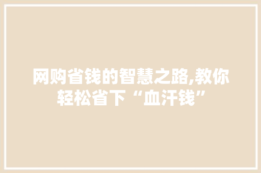 网购省钱的智慧之路,教你轻松省下“血汗钱”