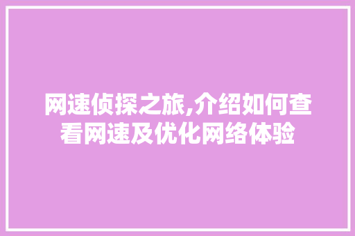 网速侦探之旅,介绍如何查看网速及优化网络体验