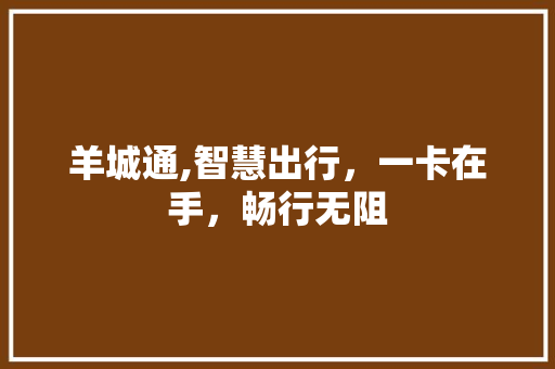羊城通,智慧出行，一卡在手，畅行无阻