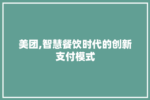 美团,智慧餐饮时代的创新支付模式