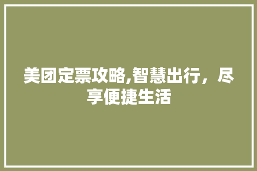 美团定票攻略,智慧出行，尽享便捷生活