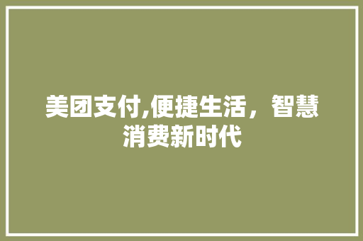美团支付,便捷生活，智慧消费新时代 电脑配置