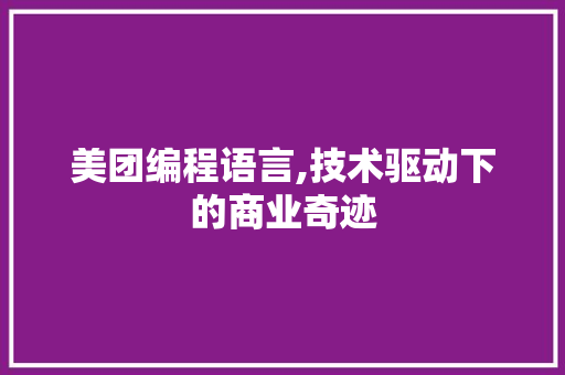 美团编程语言,技术驱动下的商业奇迹