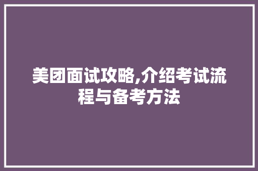 美团面试攻略,介绍考试流程与备考方法 编程语言