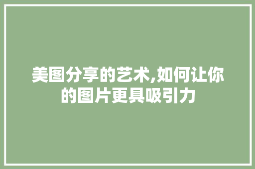美图分享的艺术,如何让你的图片更具吸引力 操作系统