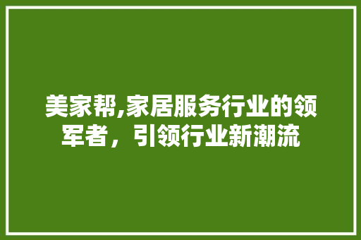 美家帮,家居服务行业的领军者，引领行业新潮流 网络技术