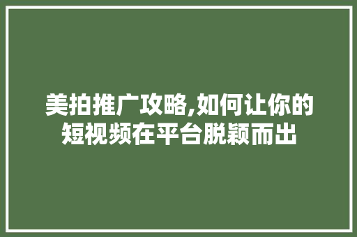美拍推广攻略,如何让你的短视频在平台脱颖而出