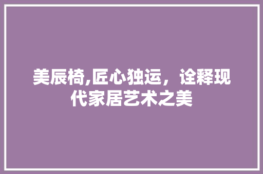 美辰椅,匠心独运，诠释现代家居艺术之美