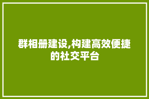 群相册建设,构建高效便捷的社交平台