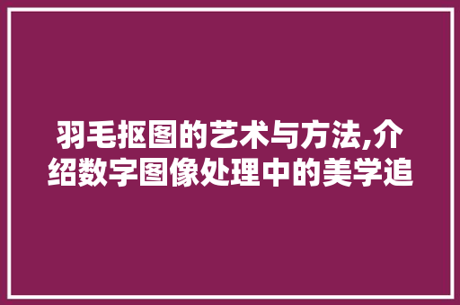 羽毛抠图的艺术与方法,介绍数字图像处理中的美学追求