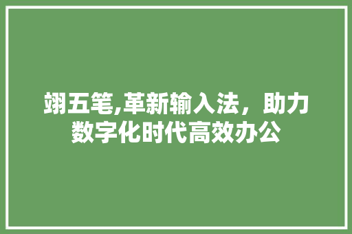 翊五笔,革新输入法，助力数字化时代高效办公