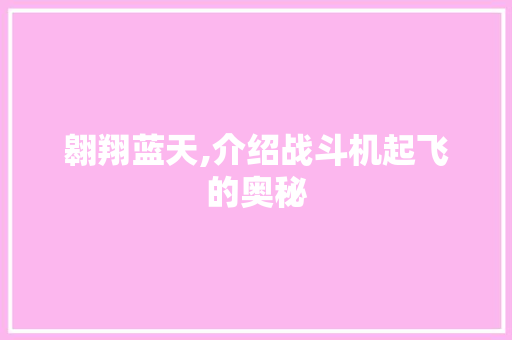 翱翔蓝天,介绍战斗机起飞的奥秘