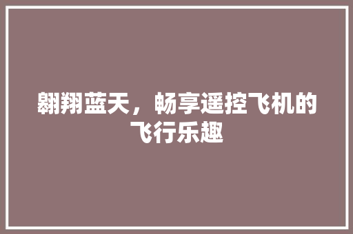 翱翔蓝天，畅享遥控飞机的飞行乐趣