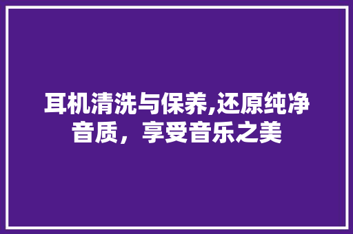 耳机清洗与保养,还原纯净音质，享受音乐之美 电脑故障维修