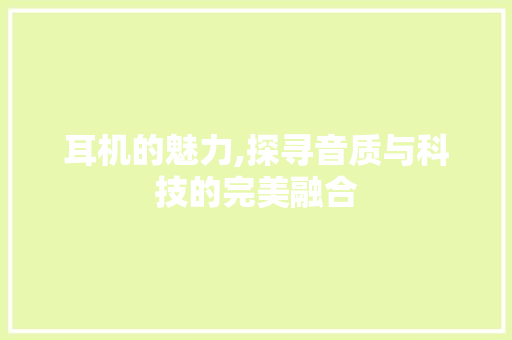 耳机的魅力,探寻音质与科技的完美融合