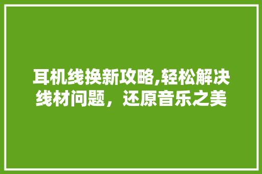 耳机线换新攻略,轻松解决线材问题，还原音乐之美