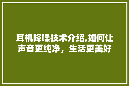 耳机降噪技术介绍,如何让声音更纯净，生活更美好