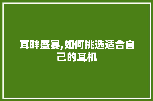 耳畔盛宴,如何挑选适合自己的耳机 编程语言