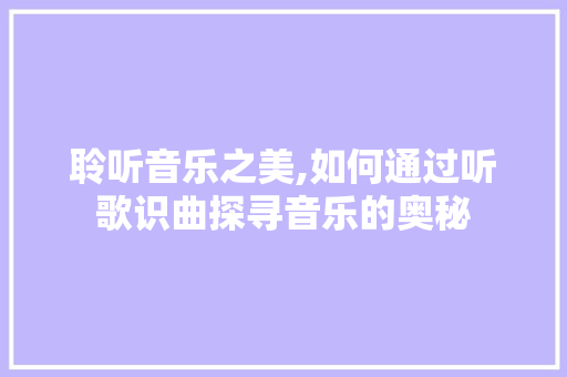 聆听音乐之美,如何通过听歌识曲探寻音乐的奥秘