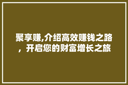 聚享赚,介绍高效赚钱之路，开启您的财富增长之旅