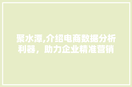 聚水潭,介绍电商数据分析利器，助力企业精准营销 操作系统