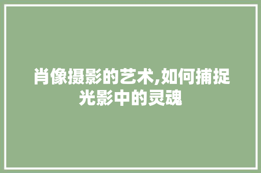 肖像摄影的艺术,如何捕捉光影中的灵魂