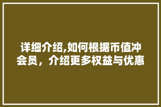 详细介绍,如何根据币值冲会员，介绍更多权益与优惠