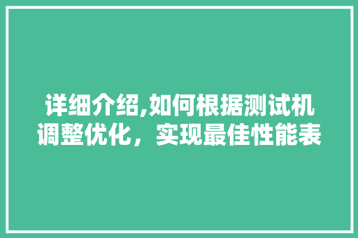 详细介绍,如何根据测试机调整优化，实现最佳性能表现 网络技术