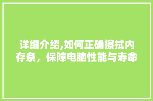详细介绍,如何正确擦拭内存条，保障电脑性能与寿命