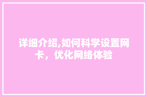 详细介绍,如何科学设置网卡，优化网络体验 电脑配置