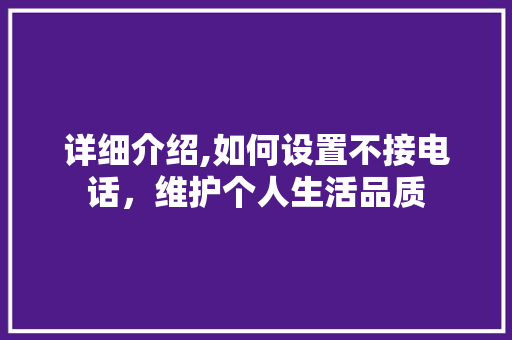 详细介绍,如何设置不接电话，维护个人生活品质