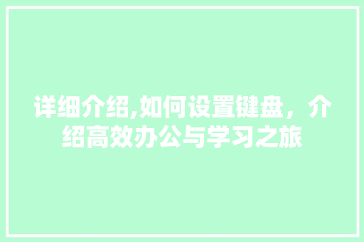 详细介绍,如何设置键盘，介绍高效办公与学习之旅