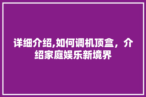 详细介绍,如何调机顶盒，介绍家庭娱乐新境界