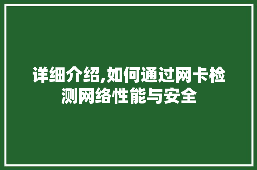 详细介绍,如何通过网卡检测网络性能与安全