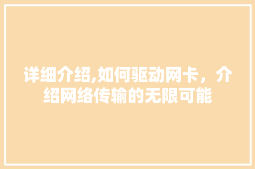 详细介绍,如何驱动网卡，介绍网络传输的无限可能