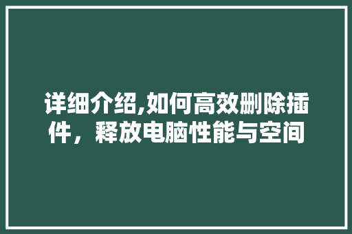 详细介绍,如何高效删除插件，释放电脑性能与空间 电脑配置