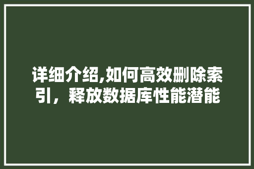 详细介绍,如何高效删除索引，释放数据库性能潜能