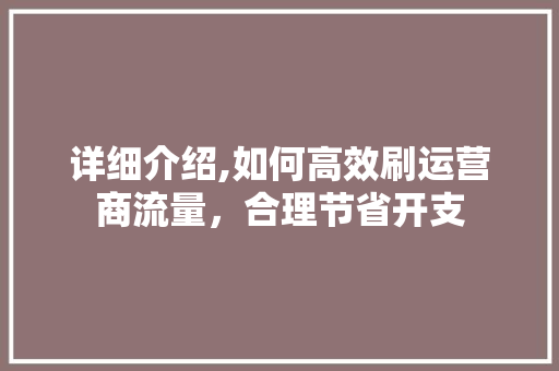 详细介绍,如何高效刷运营商流量，合理节省开支