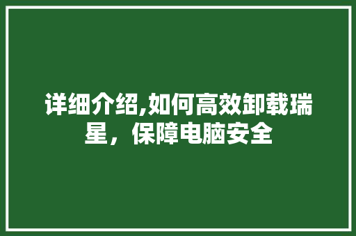 详细介绍,如何高效卸载瑞星,保障电脑安全 详细介绍,如何高效卸载瑞星,保障电脑安全