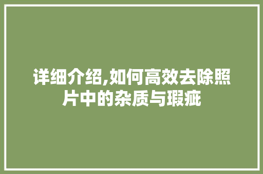 详细介绍,如何高效去除照片中的杂质与瑕疵