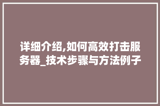 详细介绍,如何高效打击服务器_技术步骤与方法例子 详细介绍,如何高效打击服务器_技术步骤与方法例子